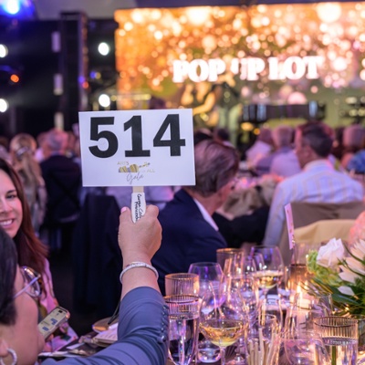 Auction Lots Announced for^ 2025 {Arts for All} Gala^ Event Supports Education, Wellness & the Arts