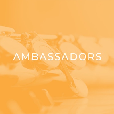 Ambassadors