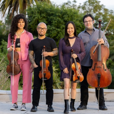 Vitamin String Quartet