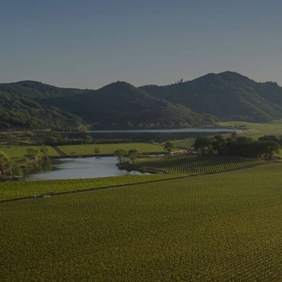 Vintner's Luncheon hosted by the Antinori Family and the Antica Foundation