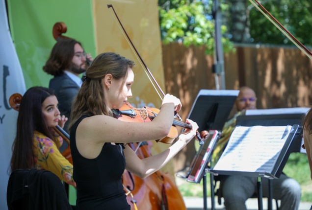 Festival Live! Concert Series