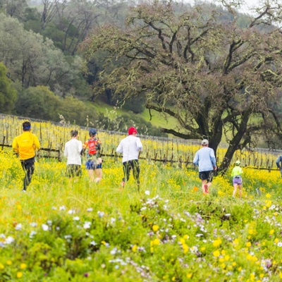 Festival Napa Valley at the Kaiser Permanente Thrive Napa Valley Marathon & Half Marathon