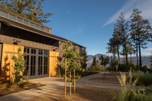 Theorem Vineyards
