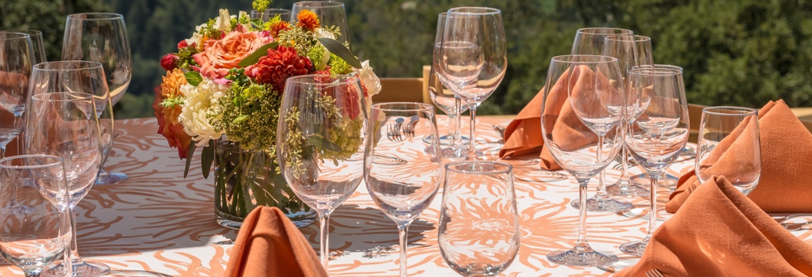 Vintner's Luncheon at^Monte Olivos Estate