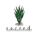 S.A.C.R.E.D Agave