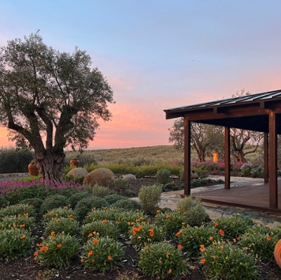 Copeland Olive Hill Estate