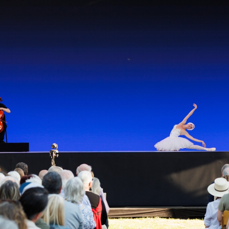 L'Italo Americano: Twenty years of Harmony: a Renaissance of art, wine, and philanthropy with Festival Napa Valley