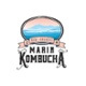 Marin Kombucha