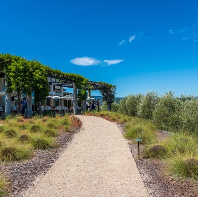 Vintner's Luncheon at Cliff Lede Vineyards